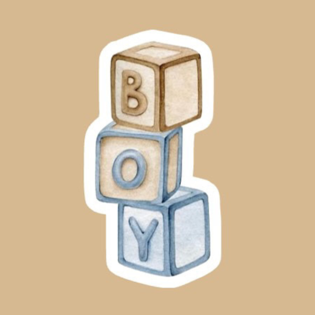 Biscuit Baby Boy 2