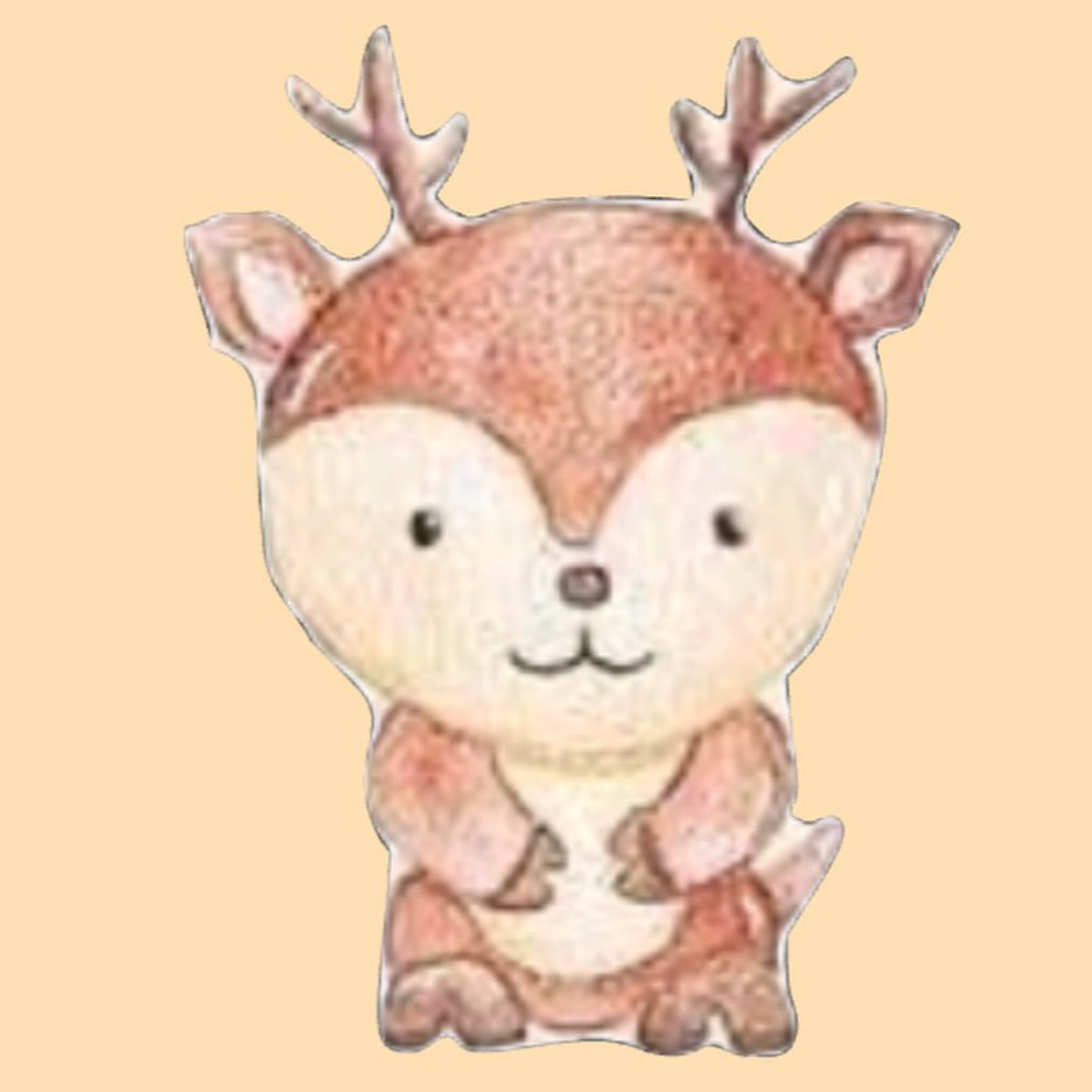 Biscuit Forêt 3