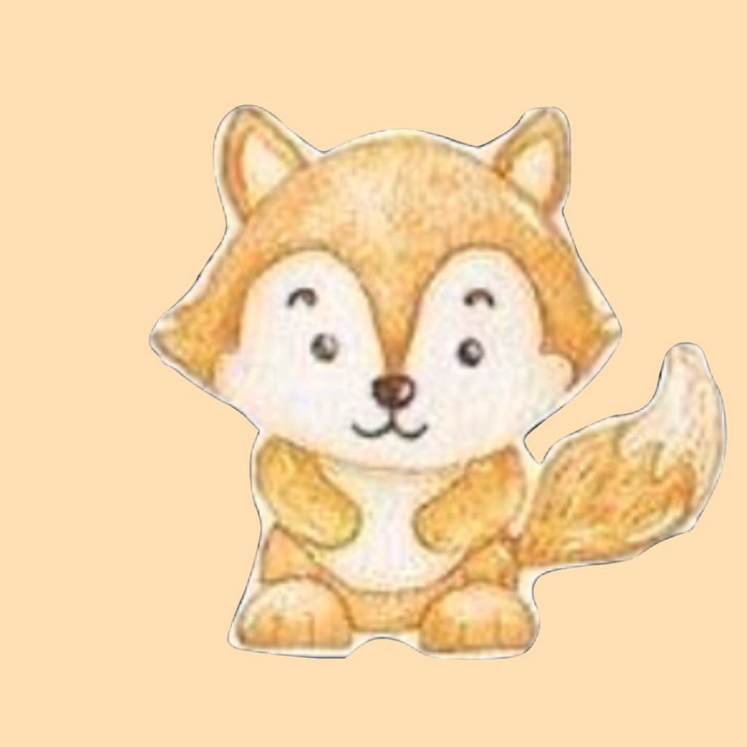 Biscuit Forêt 12