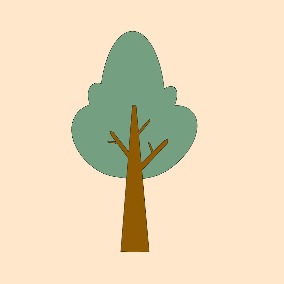 Biscuit Forêt 11