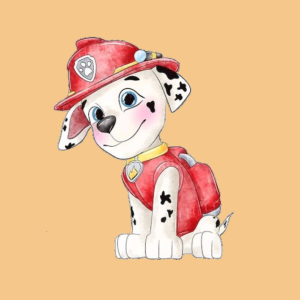 Biscuit Pat Patrouille Dessin 5