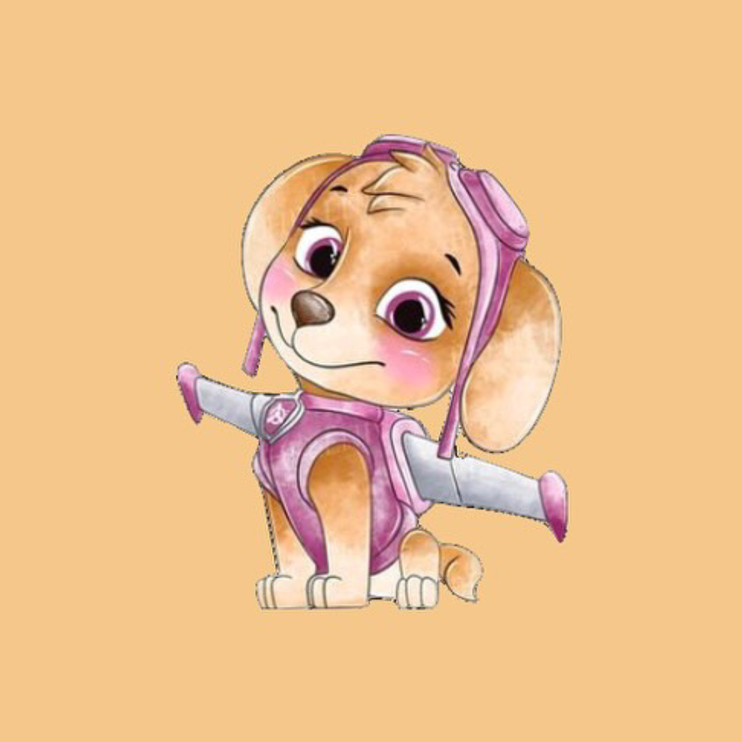 Biscuit Pat Patrouille Dessin 8