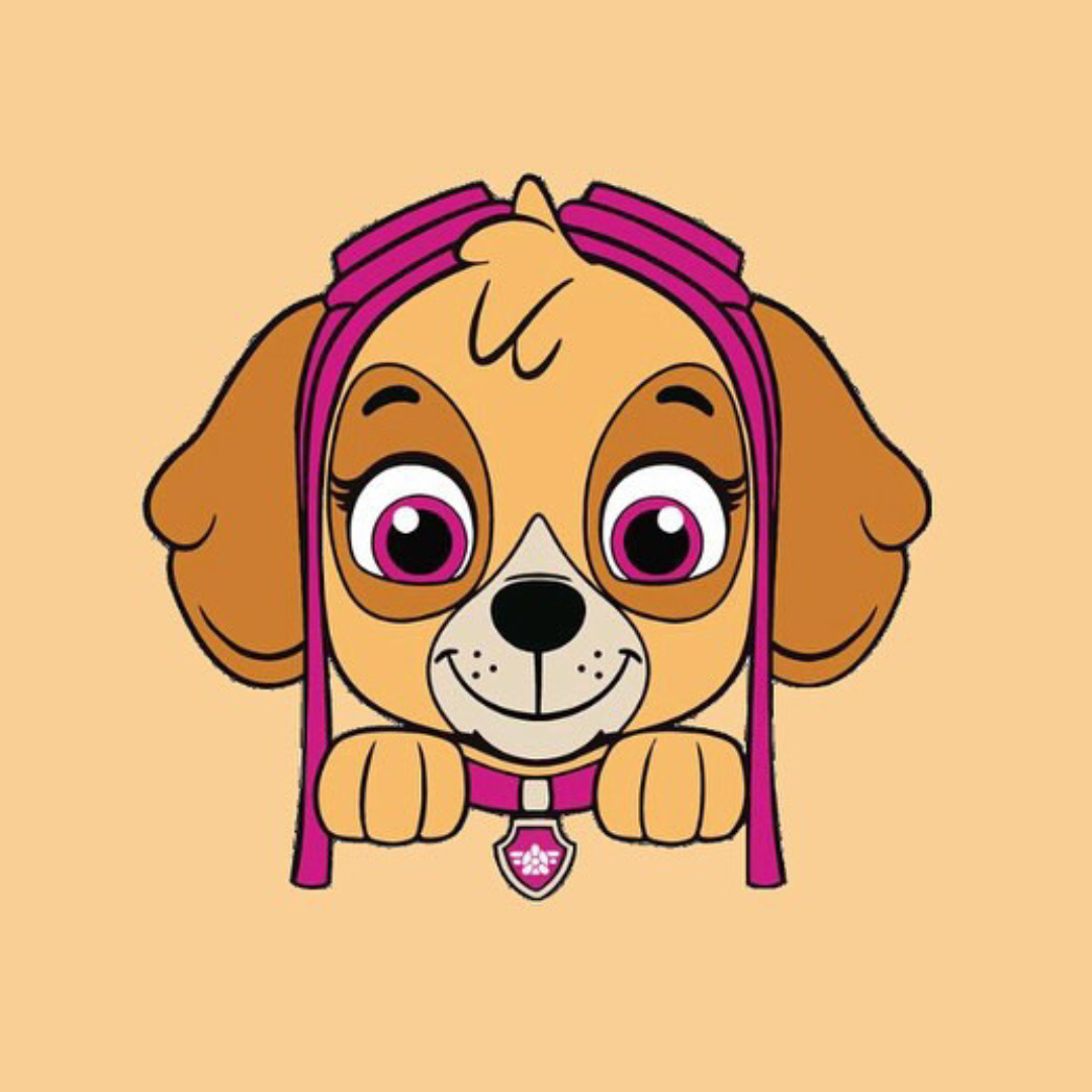 Biscuit Pat Patrouille Fille 5