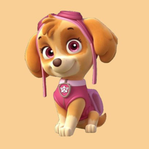 Biscuit Pat Patrouille Fille 2